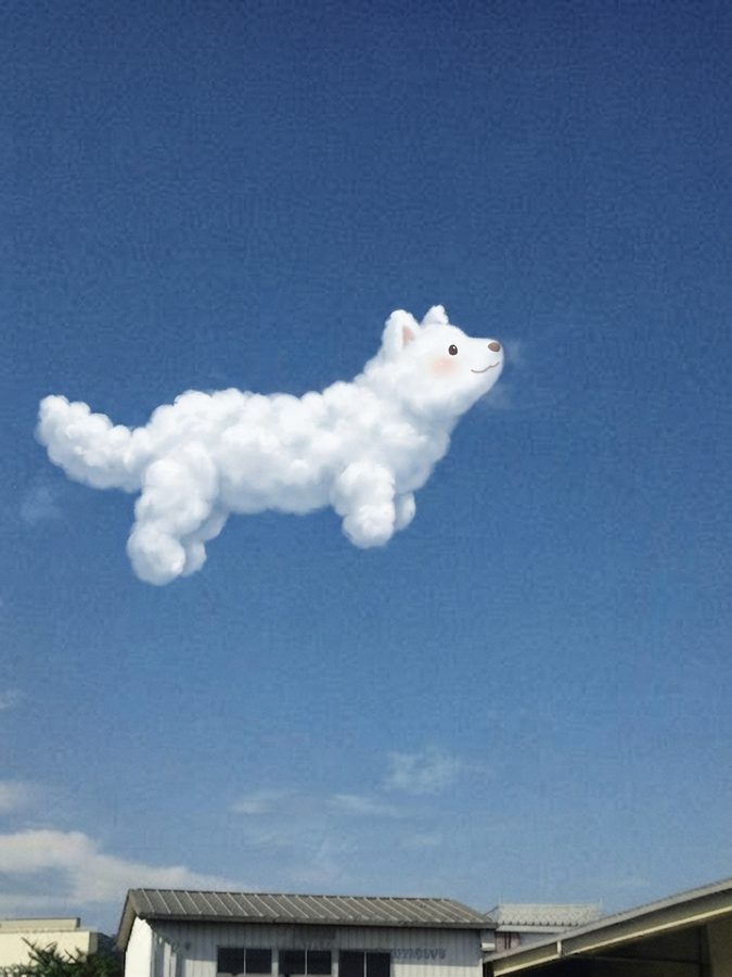 雲が犬になった作品（実写背景）